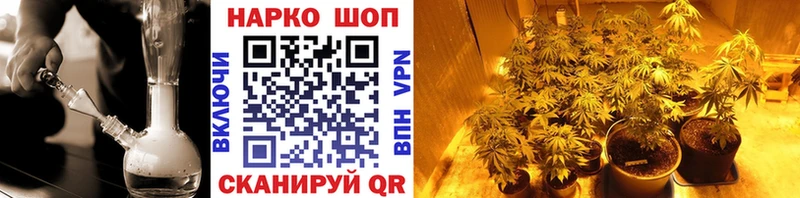 Цена Саров Бошки Шишки  ГАШ 
