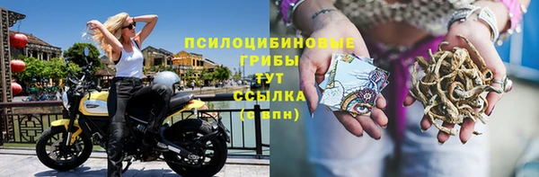круглые Пролетарск